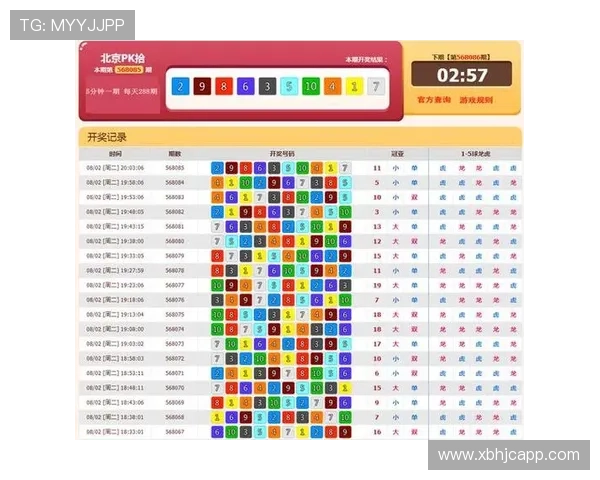 PK10开奖历史记录完整查询与数据分析